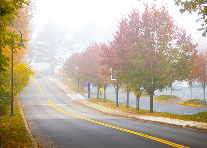 Campus