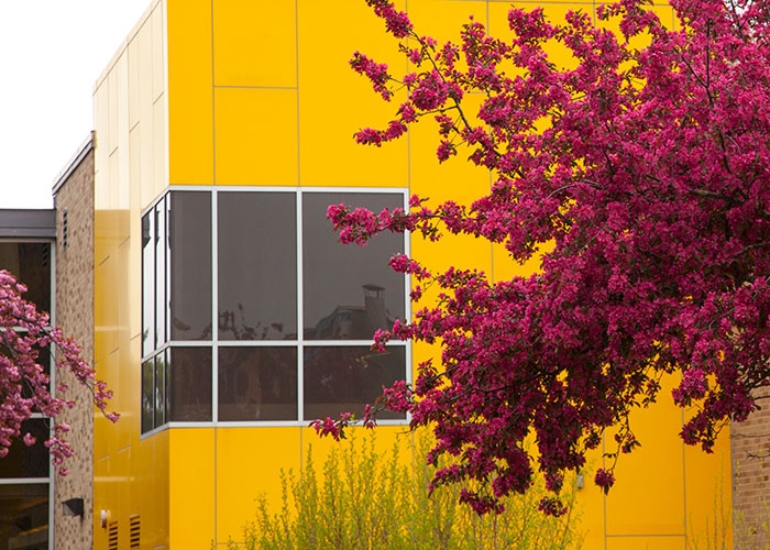 Exterior of Alger Hall