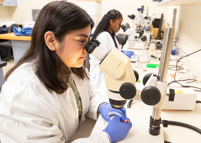 Alison Philbrook Lab