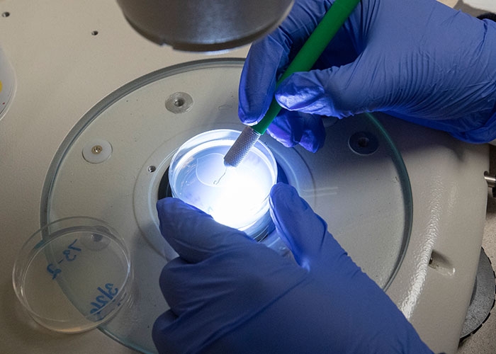 Alison Philbrook Lab