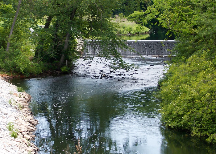 Dam