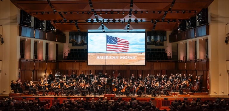 American Mosaic pic
