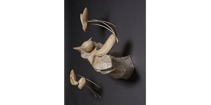 3-D SYNTHESIS STUDENT WORK