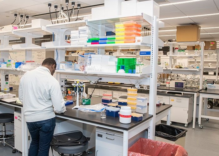 Student working in new lab in Clarke Science