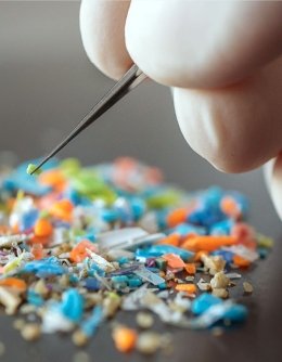 Microplastics