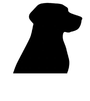 dog icon