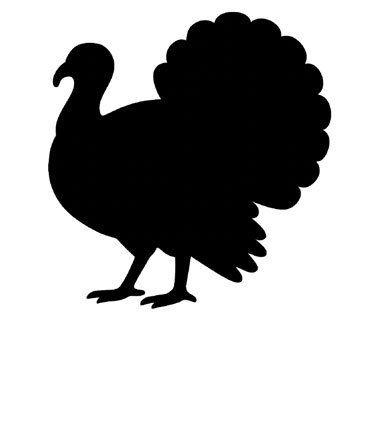 Turkey icon