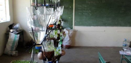 Hydroponic lab