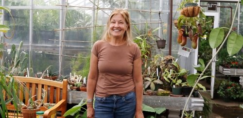 Pam Hill inside greenhouse surrounded by plants