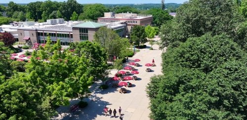 Rhode Island College is now a Tree Campus