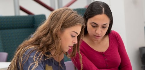 Students studying together