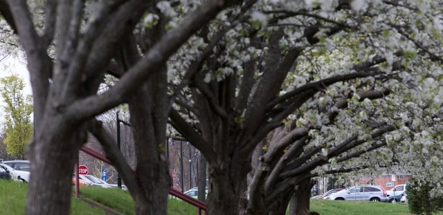 Campus