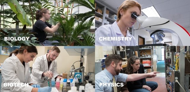 The sciences